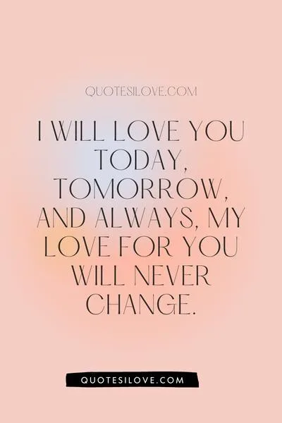 My Love for You Will Never Change Quotes
