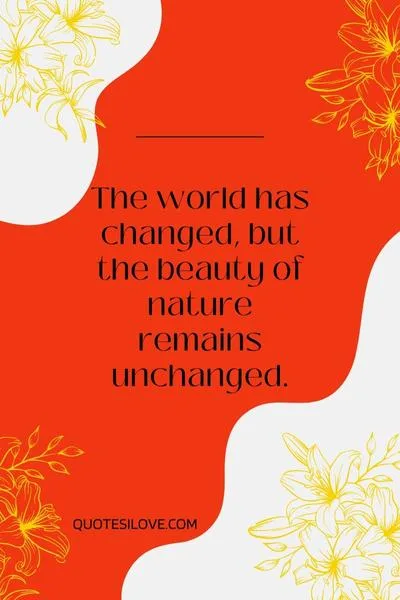Pain Changed Me Quotes Pain Changed Me Quotes