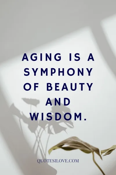 Aging With Dignity Quotes ()