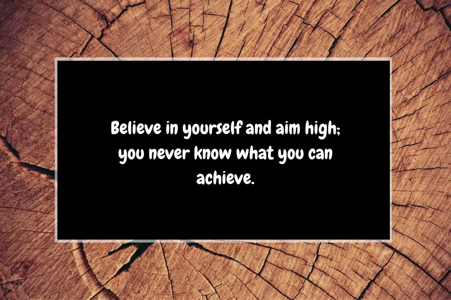 Aim for the Moon Quotes