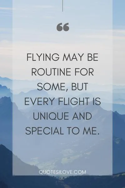 Airhostess Quotes ()