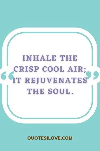 Cool Air Quotes ()