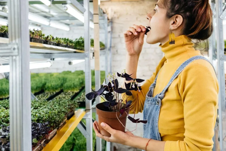 Quotes on Biotechnology in Agriculture