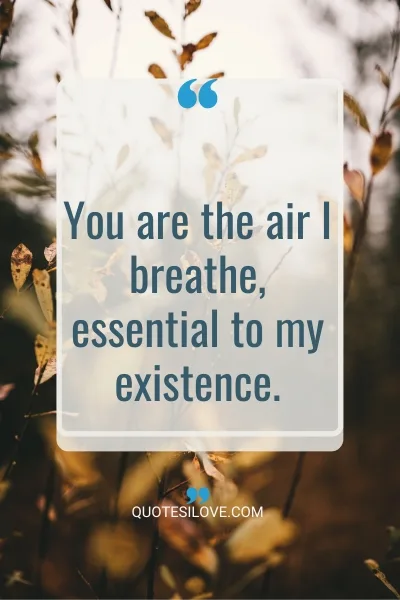 You Are the Air I Breathe Quotes