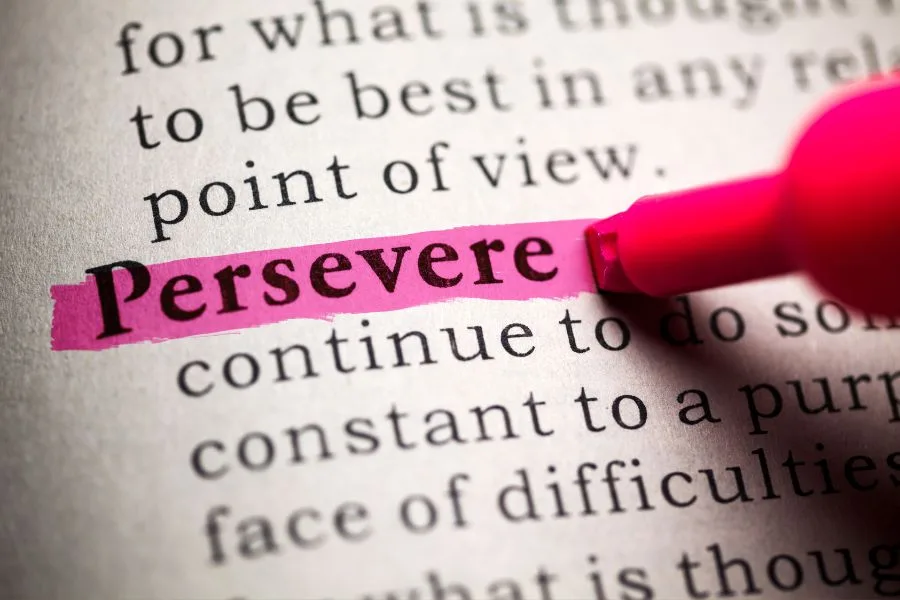 Perseverance Alone Is Omnipotent Quotes