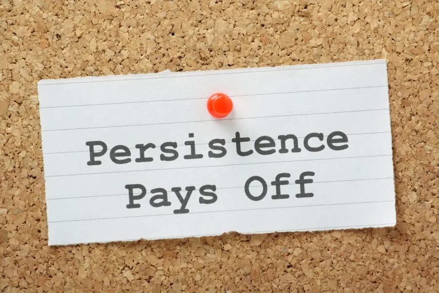 Persistence and Determination Alone Are All Powerful Quotes