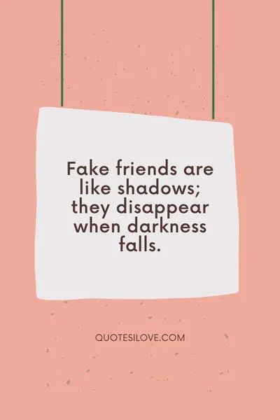 Don't Believe Fake Friends Quotes ()