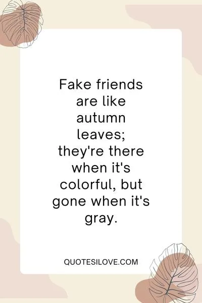 Don't Believe Fake Friends Quotes ()