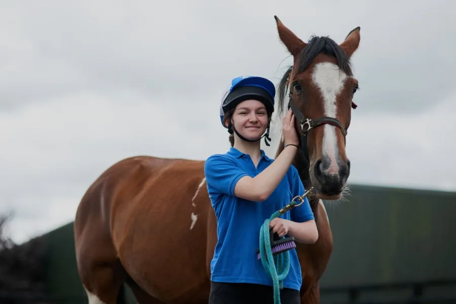 My Horse Is My Best Friend Quotes