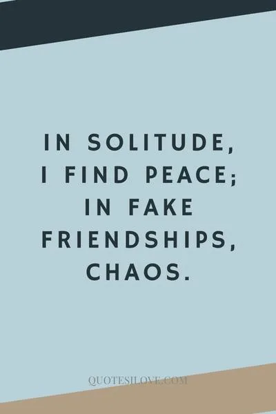 Being Alone Is Better Than Being With Fake Friends Quotes () Being Alone Is Better Than Being With Fake Friends Quotes ()
