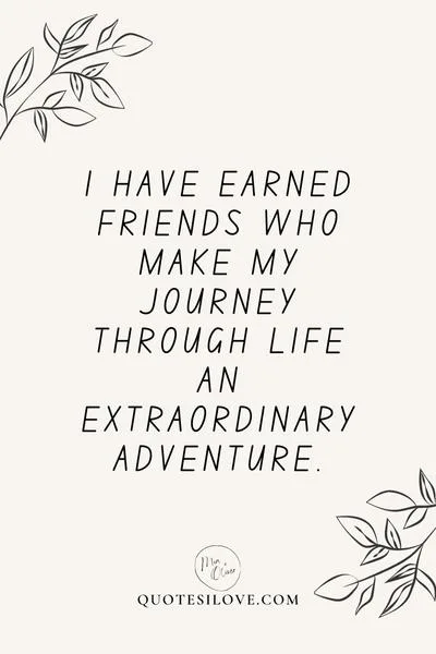 I Have Earned Friends Quotes ()